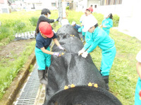 DSCN9805