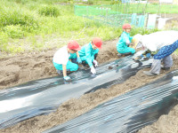 DSCN9811