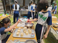 250620113927022